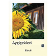 Ayiekleri Ebruli Kutlu Yaynevi
