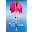 Yreime Seken Yamurlar Glen Yldrm Ferfir Yaynclk