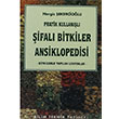 Pratik Kullanl ifal Bitkiler Ansiklopedisi Nergis ekerciolu Bilim Teknik Yaynevi
