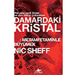 Damardaki Kristal Nic Sheff Pegasus Yaynlar
