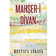 Maheri Divan Mustafa Yksek Cinius Yaynlar