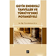 GSYH Endeksli Tahviller ve Trkiyedeki Potansiyeli Mehmet Ela Gazi Kitabevi