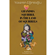 Grandma Squirrel In The Land Of Squeirrels Yasemin Einliolu Cinius Yaynlar