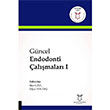 Gncel Endodonti almalar 1 Akademisyen Kitabevi