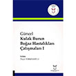Gncel Kulak Burun Boaz Hastalklar almalar 1 zgr Srmeliolu Akademisyen Kitabevi