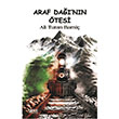 Araf Dann tesi Ali Turan Barni Gece Kitapl