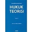 Hukuk Teorisi Cilt I Sekin Yaynevi