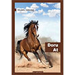 Doru At Mustafa stnda Ay Kitaplar