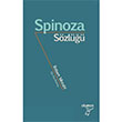 Spinoza Sözlüğü Robert Misrahi Otonom Yayıncılık