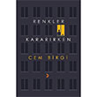 Renkler Kararrken Cem Birgi Cinius Yaynlar