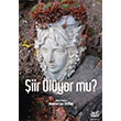 iir lyor mu olpan Kitap