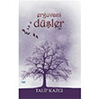 Erguvani Dler Talip Kazg imke Yaynevi