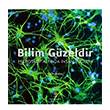 Bilim Gzeldir Mikroskop Altnda nsan Vcudu Colin Salter Tbitak Yaynlar