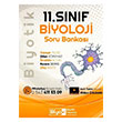 11. Snf Biyoloji Biyotik Soru Bankas Biyotik Yaynlar