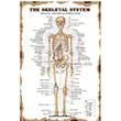skelet Poster Melisa Poster