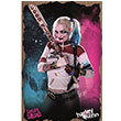 Harley Quinn Beyzbol Sopas Poster Melisa Poster