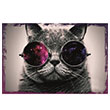 Gzlkl Kedi Poster Melisa Poster