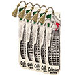 Ayra Collesium (5 li Paket) Sanatsal Tasarm