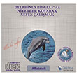Affetmek Delphinus Bilgeliyle Niyetler Koyarak Nefes almak Delphinus Yaynclk