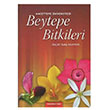 Beytepe Bitkileri Galip Akaydn Hacettepe niversitesi Yaynlar