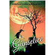 Gnselice iirler Gnseli Grcan Sakzl Gece Kitapl