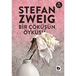 Bir kn yks Stefan Zweig Bilgi Yaynevi
