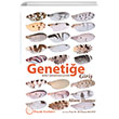 Genetie Giri Palme Yaynevi