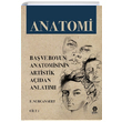 Anatomi Fatma Nurcan Sert Grapi Medya