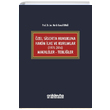 zel Sigorta Hukukuna Hakim lke ve Kurumlar 1975 2016 Makaleler Tebliler On ki Levha Yaynlar