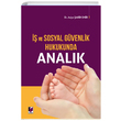  ve Sosyal Gvenlik Hukukunda Analk Adalet Yaynevi