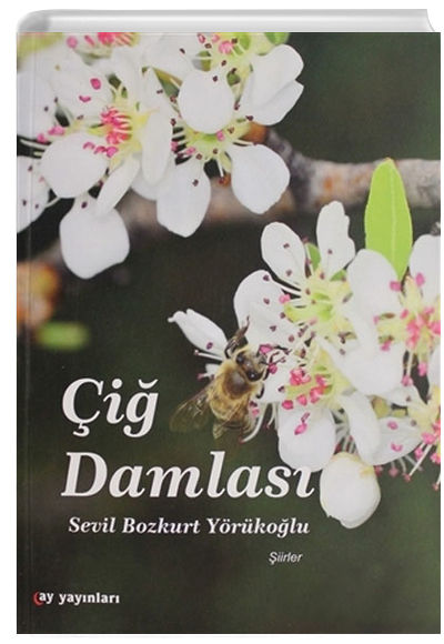 i Damlas Sevil Bozkurt Yrkolu Ay Yaynlar