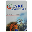 evre Sorunlar Aktif Yaynevi