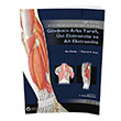 Aklamal nsan Anatomisi Atlas 1 Gne Tp