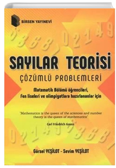 Saylar Teorisi Birsen Yaynevi