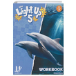 5. Snf New Light Up Workbook Universal Elt
