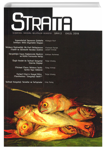Strata likisel Sosyal Bilimler Phoenix Yaynevi