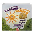 Karadut Yamur ve Portakal Gne Burcu Bahar Nova Kids