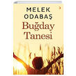 Buday Tanesi Melek Odaba Cinius Yaynlar