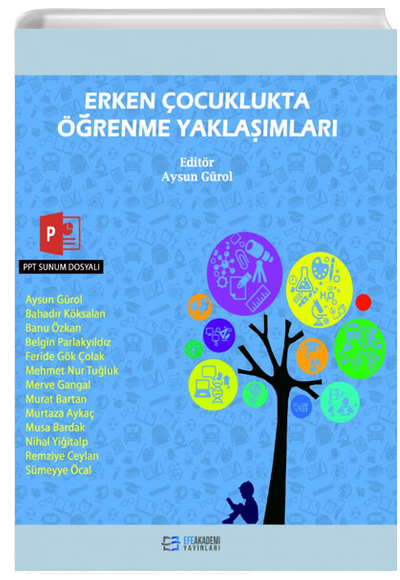 Erken ocuklukta renme Yaklamlar Efe Akademi Yaynlar