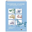 Veteriner Anatomi Konu Anlatm ve Atlas Gne Tp