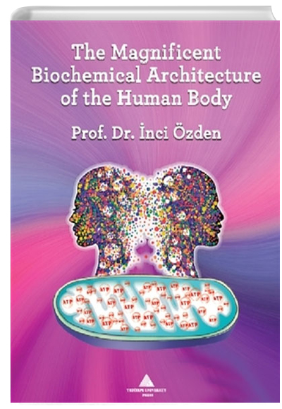 The Magnificent Biochemical Architecture of the Human Body nci zden Yeditepe niversitesi Yaynevi