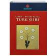 Kbrs ve Balkanlarda Trk iiri Trk Dnyas Vakf