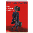 Bir Kalbin k Stefan Zweig Puslu Yaynclk