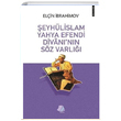 eyhlislam Yahya Efendi Divannn Sz Varl Elin brahimov Turay Kitap Yaynclk