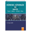 Kresel Gvenlik ve Nato Gngr ahin Detay Yaynclk