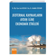 Jeotermal Kaynaklarn Aydn line Ekonomik Etkileri Detay Yaynclk