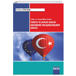 Trkiye ve Avrupa Birlii Arasndaki Anlamazlklarn Analizi Detay Yaynclk