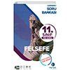 11. Snf Felsefe Soru Bankas arm Yaynlar