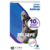 10.Snf Felsefe arml Soru Bankas arm Yaynlar