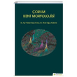 orum Kent Morfolojisi Hiperlink Yaynlar